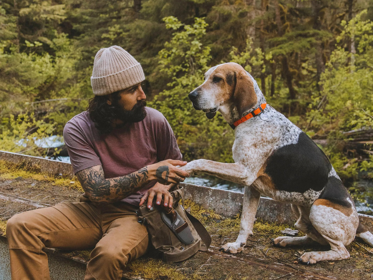 a man shaking hands with his dog in the nature