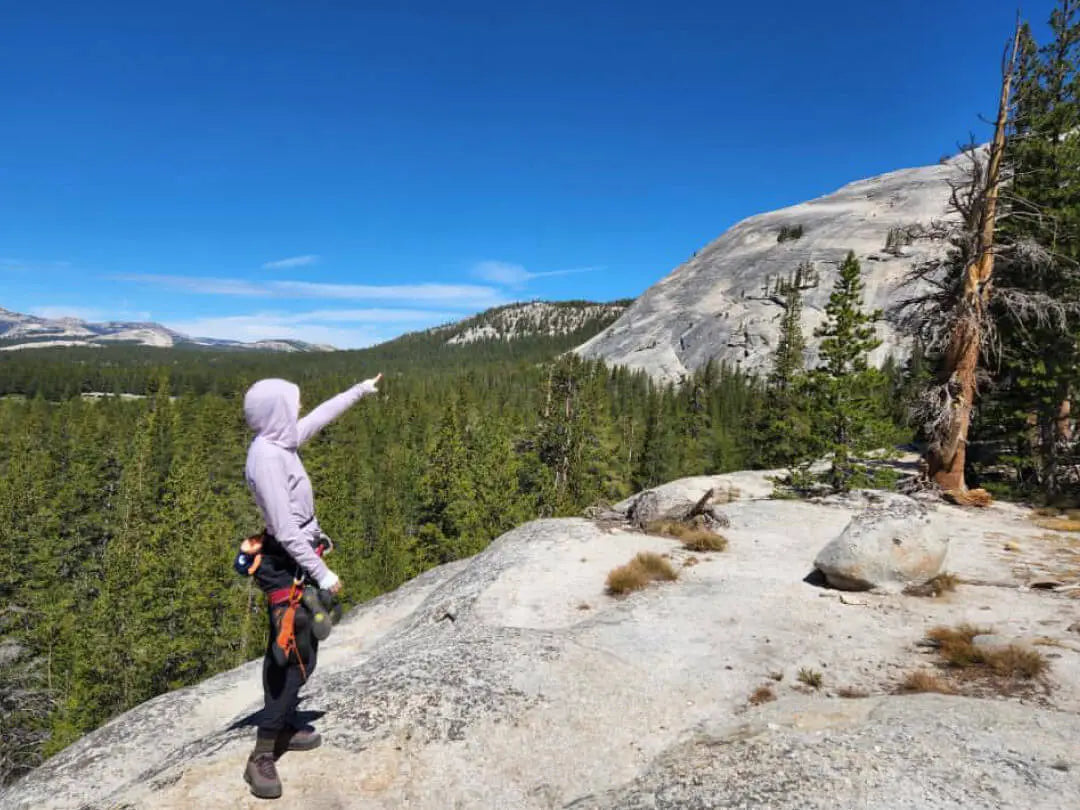 A woman on her lavender alpaca Hoodie pointing to a mountain. There are also trees