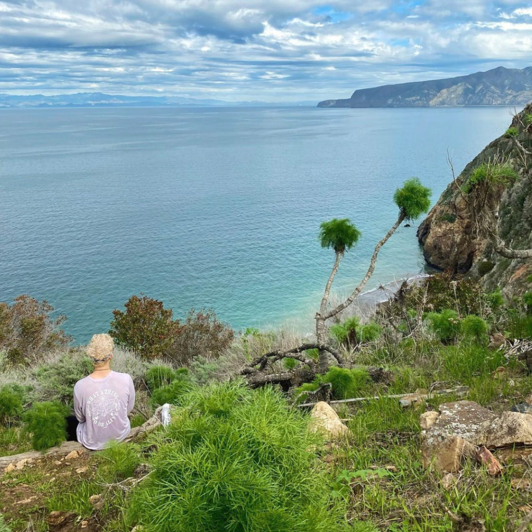 A man sitting looking at the immensity of the ocean in his lavender Sebastian Baselayer