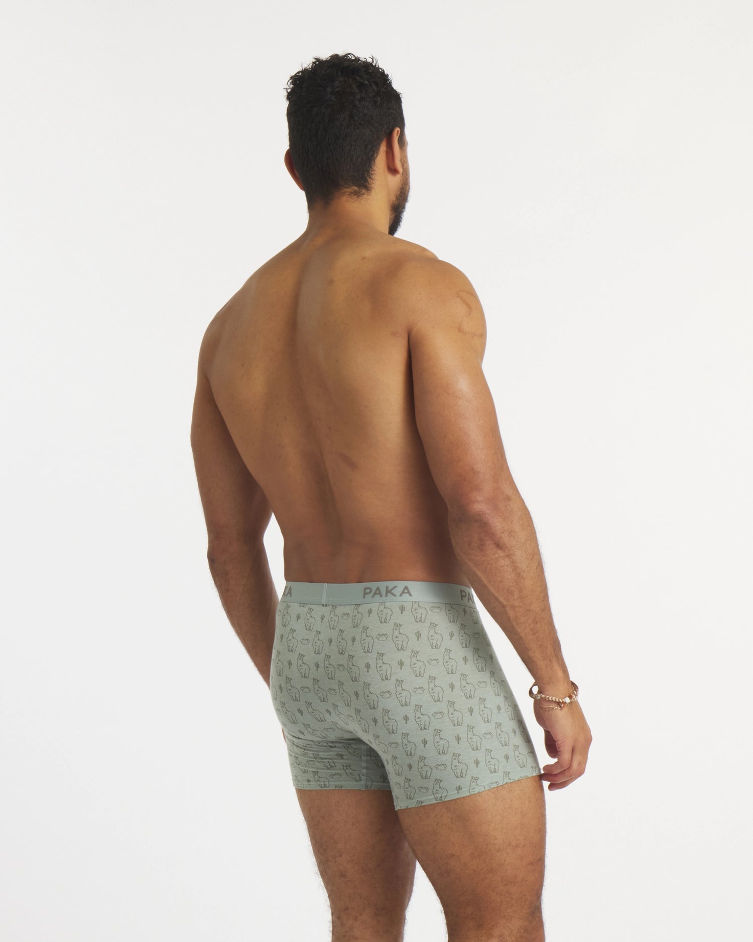 Men's Essential Sebby Boxer Brief