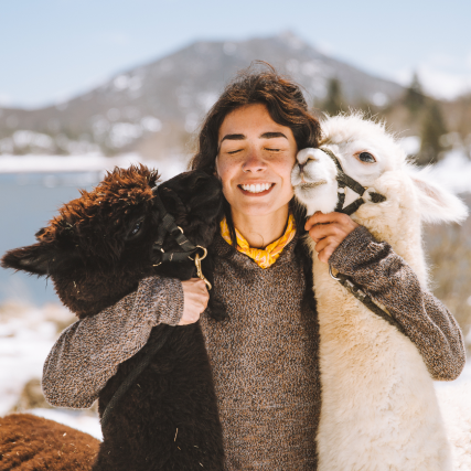 A woman hugging two cute alpacas in a snowy landscape