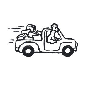 Free shipping icon