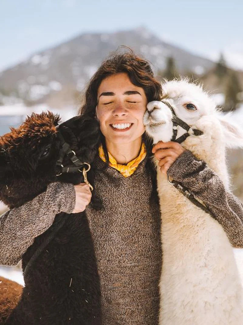 Woman in alpaca wool sweater snuggling two alpacas