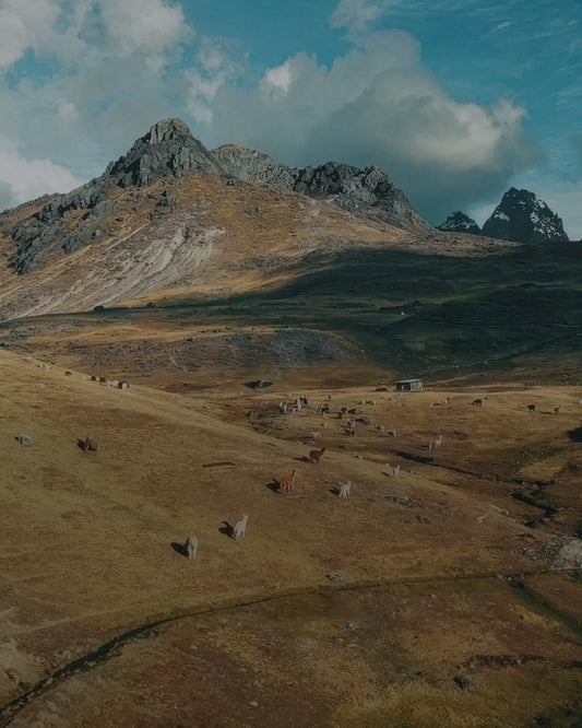 PAKA 2025 Impact Report