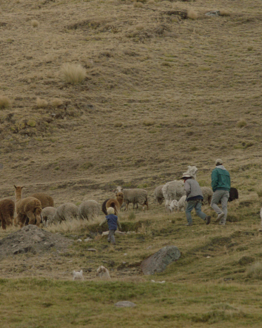 Our Journey to Full Traceability
