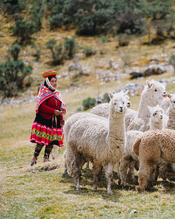 A Stronger Herd, A Stronger Future