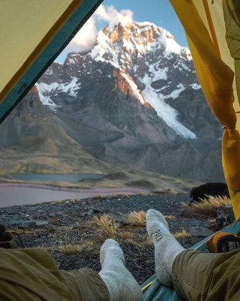 Alpaca Socks: Everything You Need To Know