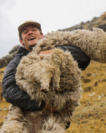 Is Alpaca Fiber Sustainable? The Future Of Eco-Friendly Fashion.