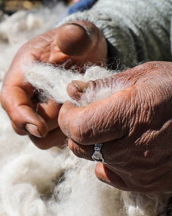 Fabric Fundamentals: How Is Alpaca Fiber Processed?