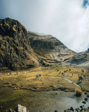 PAKA 2024 Impact Report