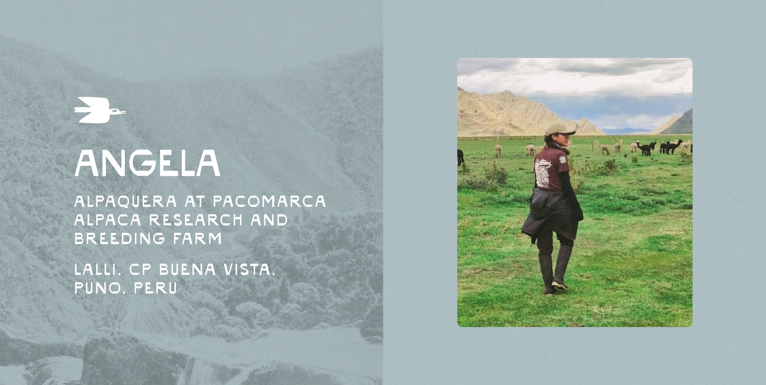 Woman walking on a grassy trail with mountains in the background; left panel shows a grey profile card with a woman’s name and short bio text
