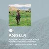 Woman standing in a grassy Andean field with an alpaca and mountains in the background, profile card with name overlaid