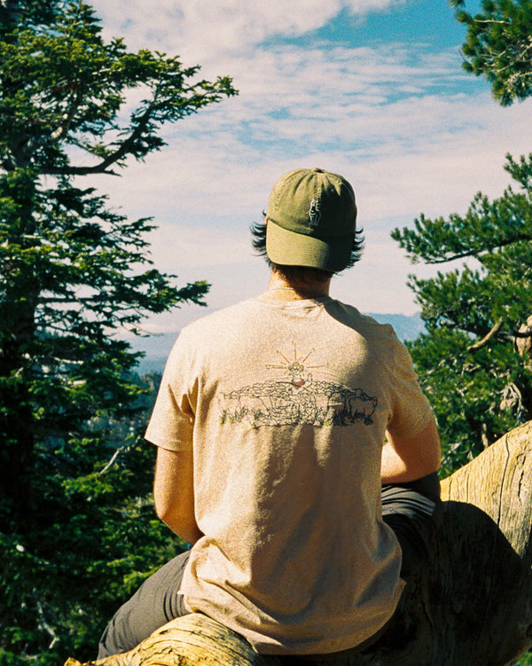 Be An Alpaca T-Shirt