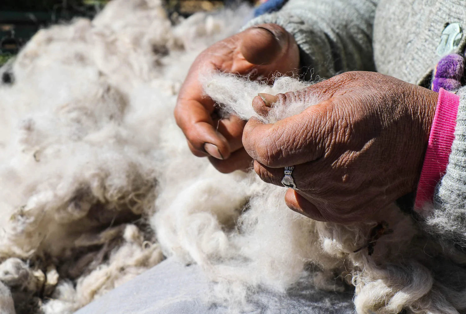 Woman sorting white alpaca fiber by hand 