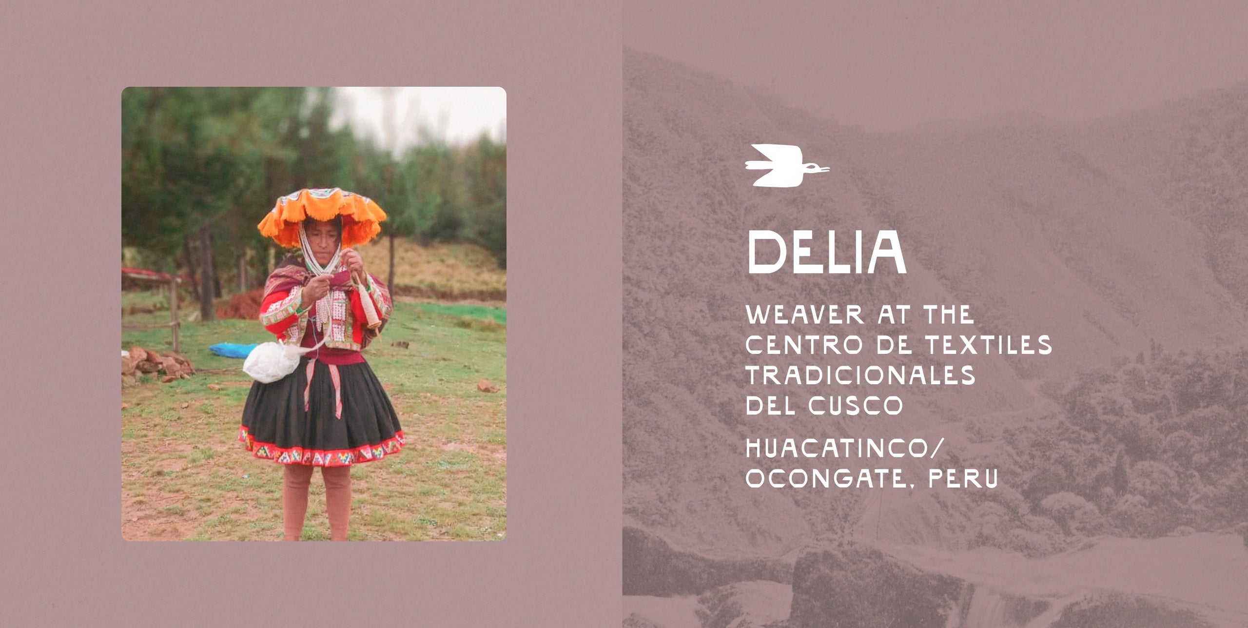 Profile card showing Delia, a PAKA team member with a photo on the left and a short bio and quote on the right