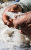 Hands of a quechua women holding alpaca fiber