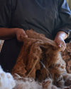 A man holding alpaca fiber