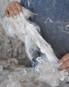 A woman holding white alpaca fiber 