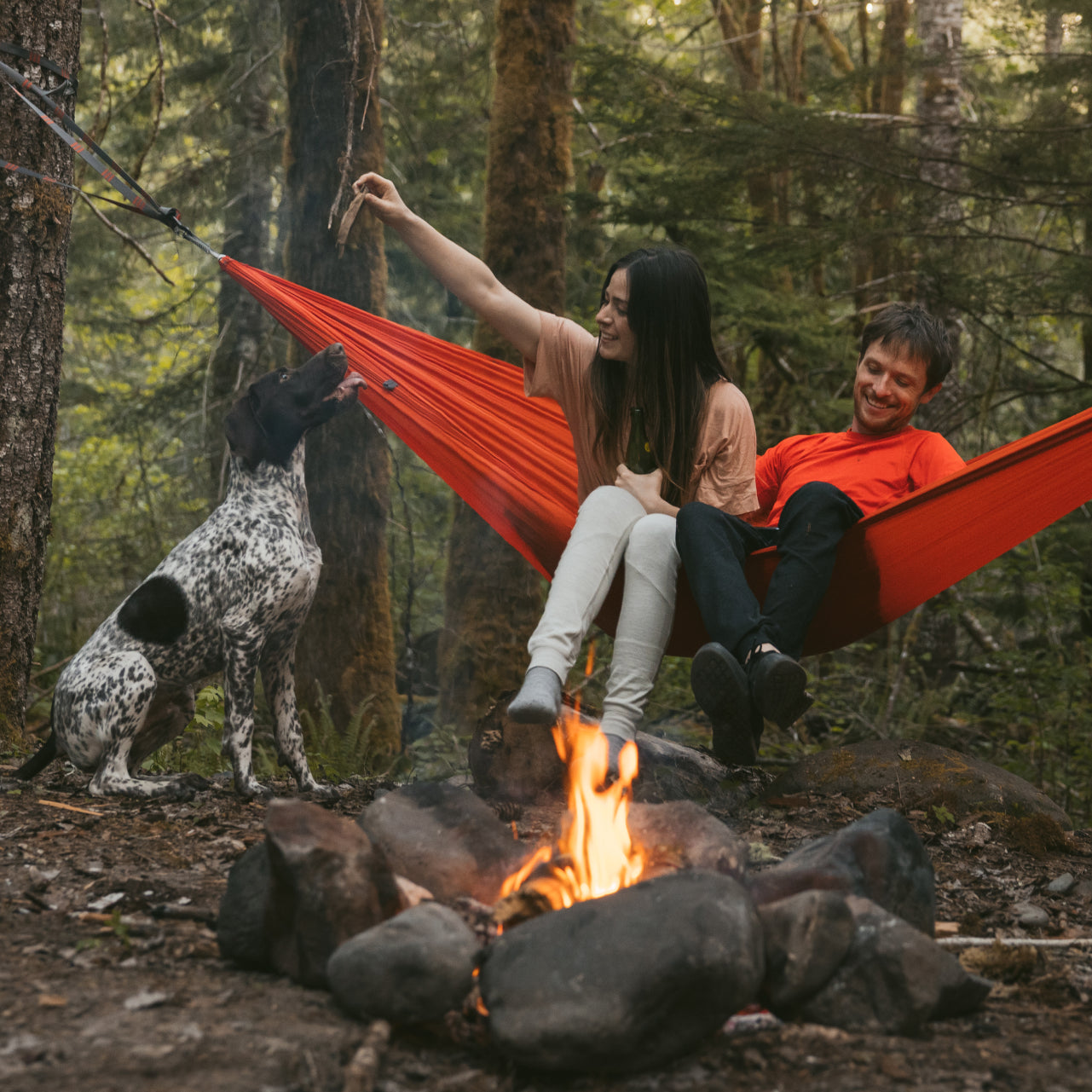 A couple in a hammock having fun with their dog in the nature
