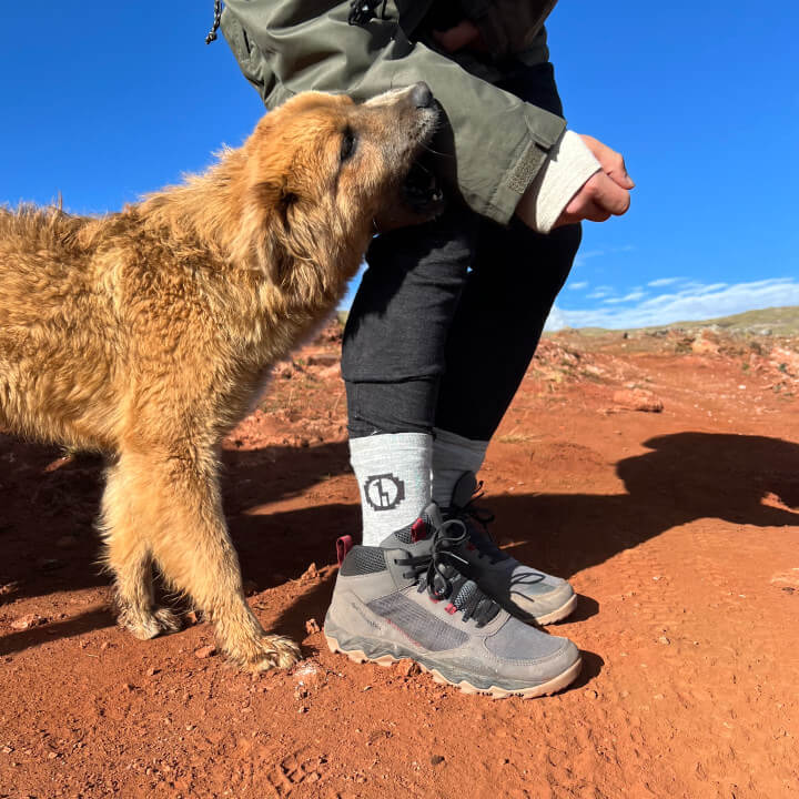 Someone wearing our cozy alpaca socks and their dog