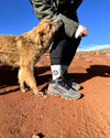 Man leaning over next to dog wearing alpaca socks.
