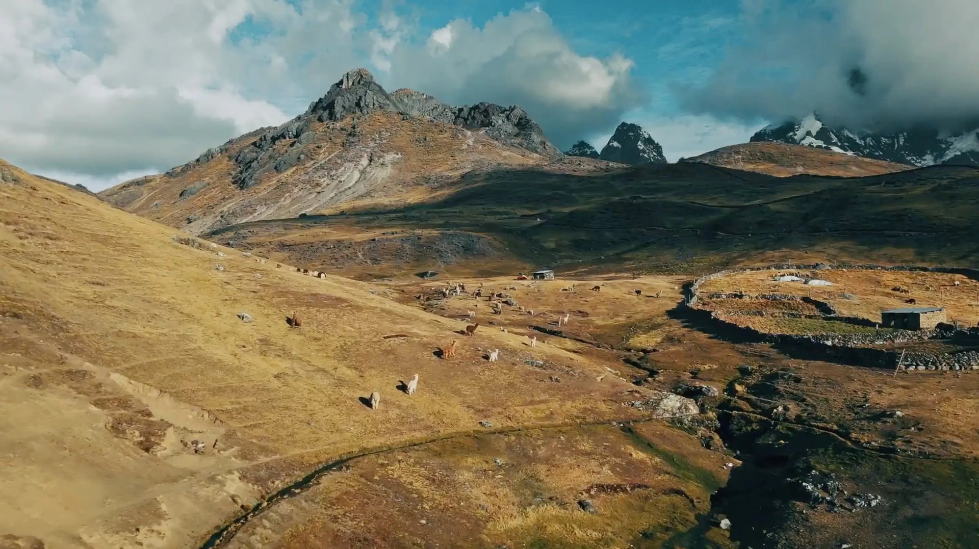 Load video: A short film about Gise and the impact she’s making, plus just a few of the people she’s helping along the way.