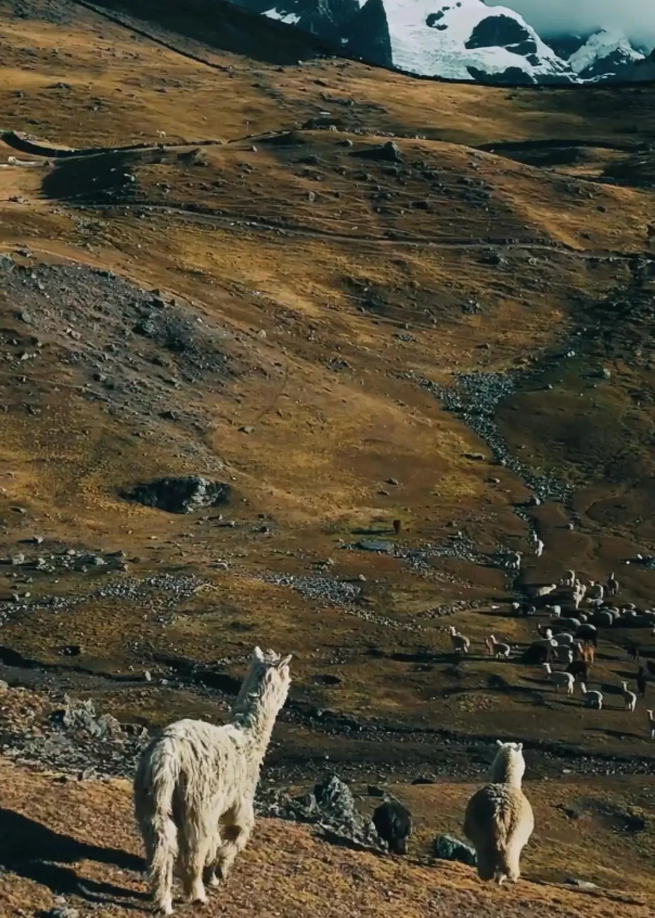 Load video: A short film about Gise and the impact she’s making, plus just a few of the people she’s helping along the way.