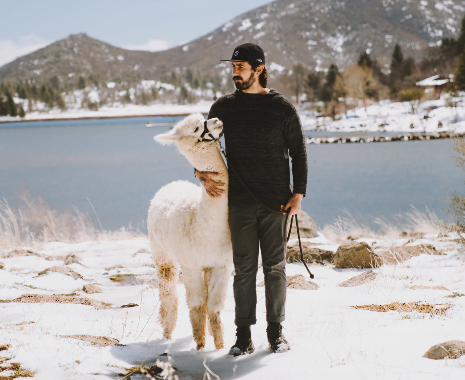 A man hugging a white alpaca in a snowy landscape