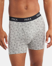 Men's Essential Printed Boxer Brief