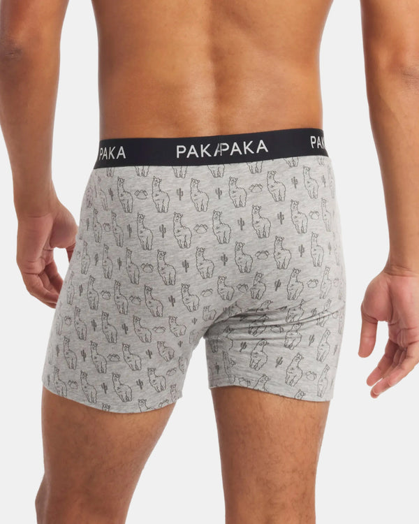 Men's Essential Printed Boxer Brief