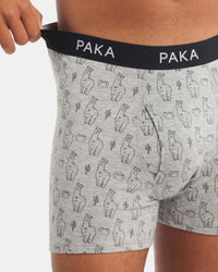 Men's Essential Printed Boxer Brief