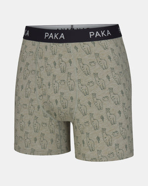 Men's Essential Printed Boxer Brief