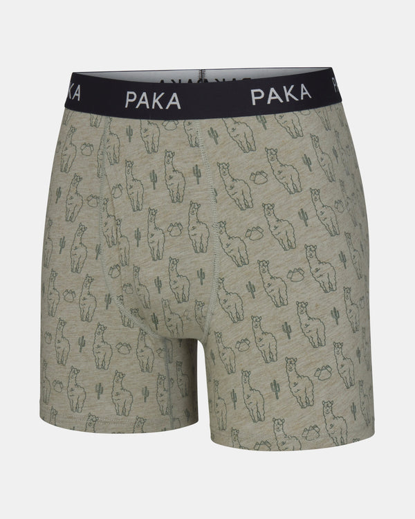Men's Essential Printed Boxer Brief