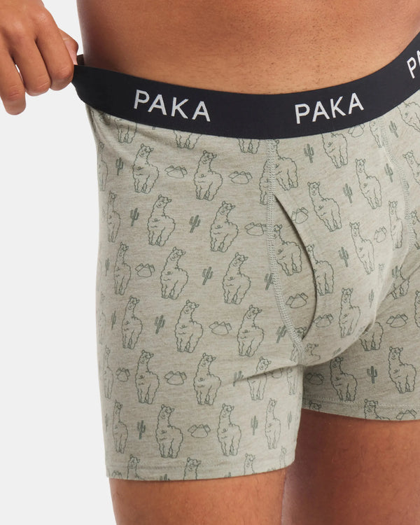 Men's Essential Printed Boxer Brief