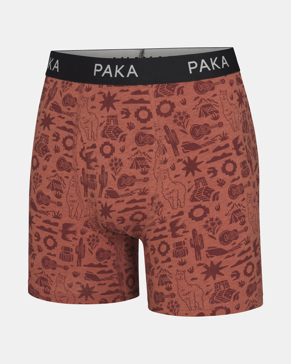 Men's Essential Printed Boxer Brief