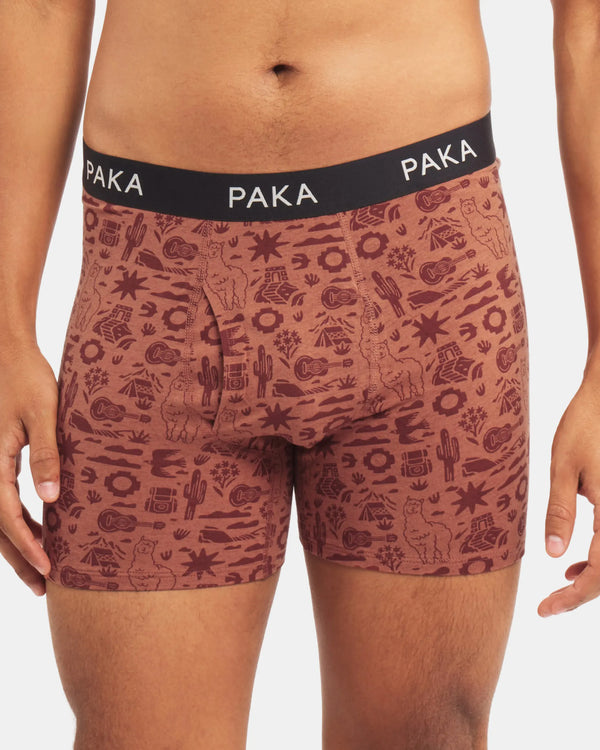 Men's Essential Printed Boxer Brief