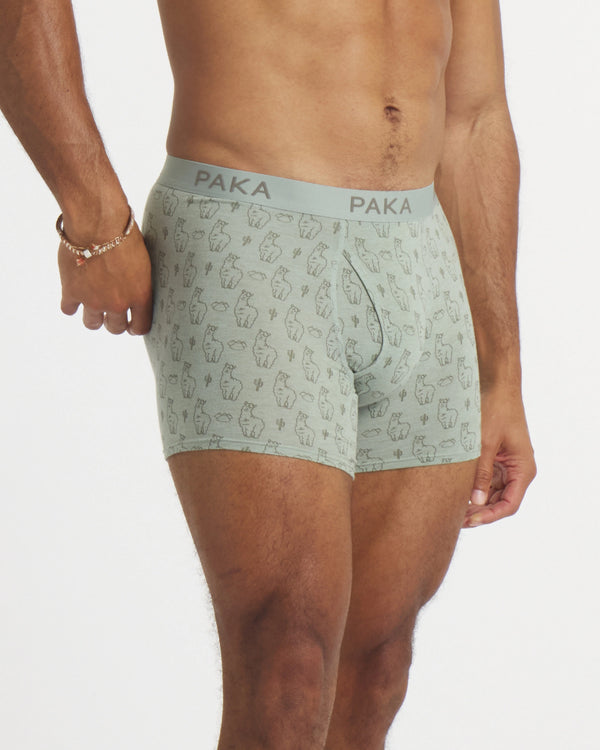 Men's Essential Sebby Boxer Brief