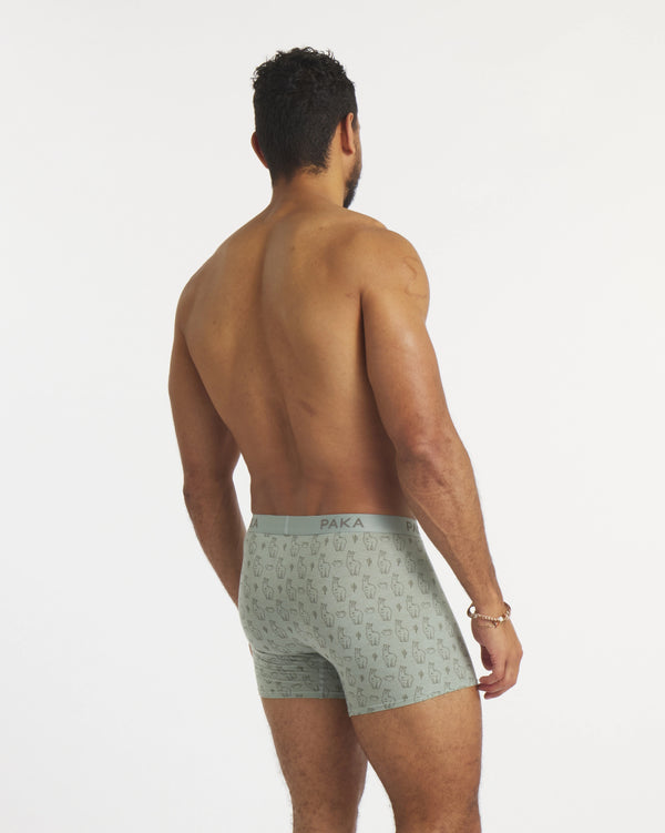 Men's Essential Sebby Boxer Brief