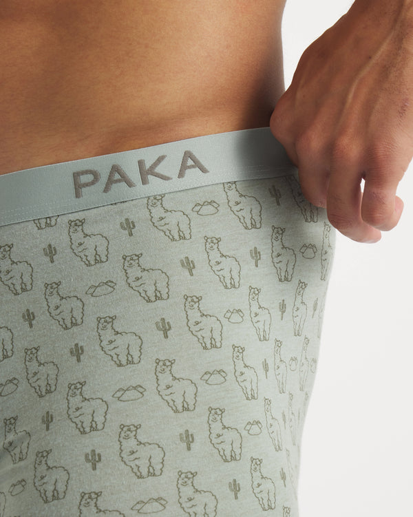 Men's Essential Sebby Boxer Brief