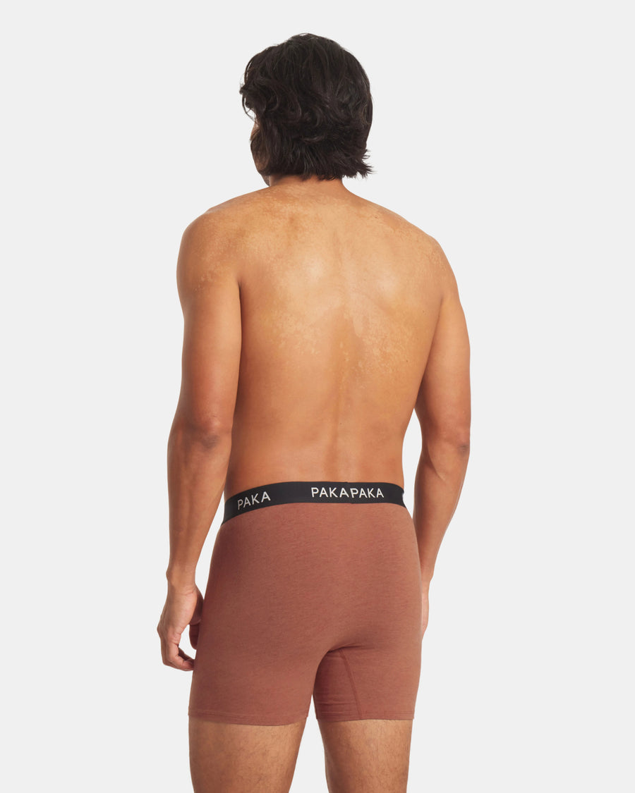 Man wearing brown boxer briefs with a visible brand logo on a white background