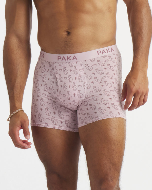 Men's Essential Sebby Boxer Brief