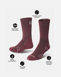 Trail Crew Socks