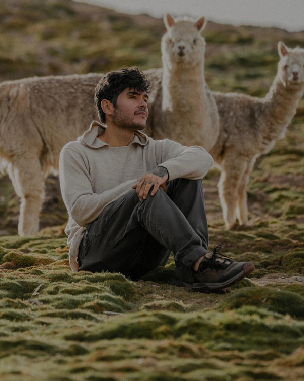 Live Now: The Hoodie & Crew in Pebble