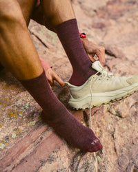Trail Crew Socks