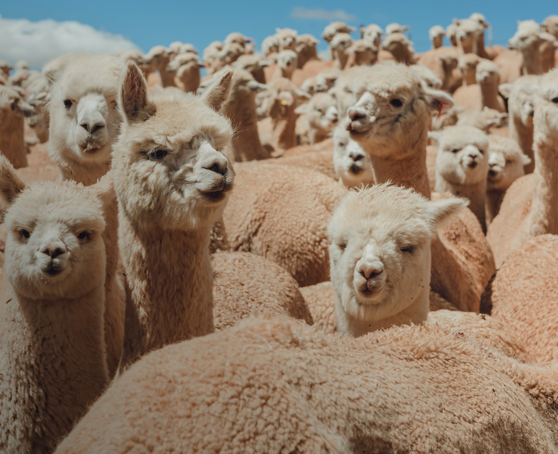 Wash and Care PAKA®