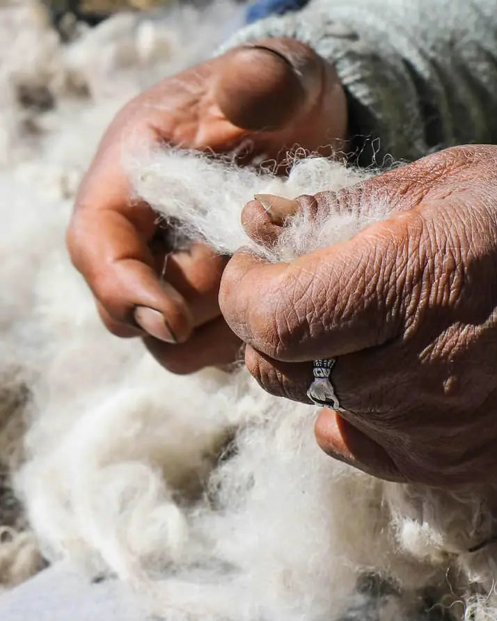 Woman hand sorting white alpaca fiber 