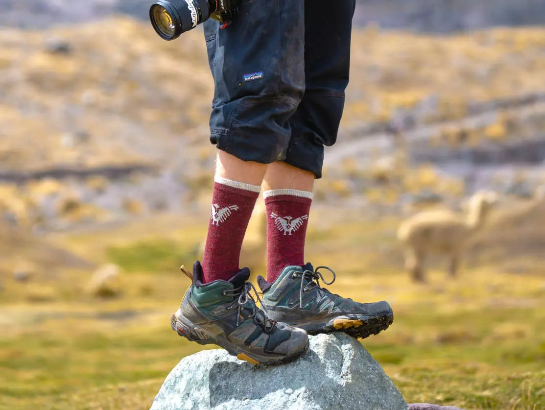 Someone wearing our burgundy Condor socks on a stone. There is an alpaca in the background. 
